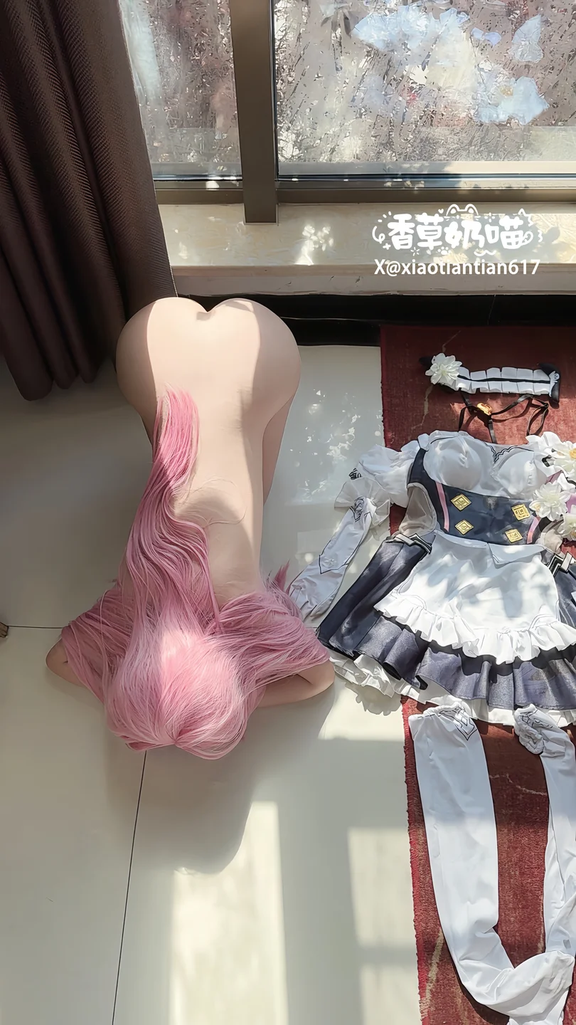 香草奶喵 - No.006 爱莉希雅女仆 [93P,29V-605MB] tg@simisebaisi 【丝足阁】019.webp